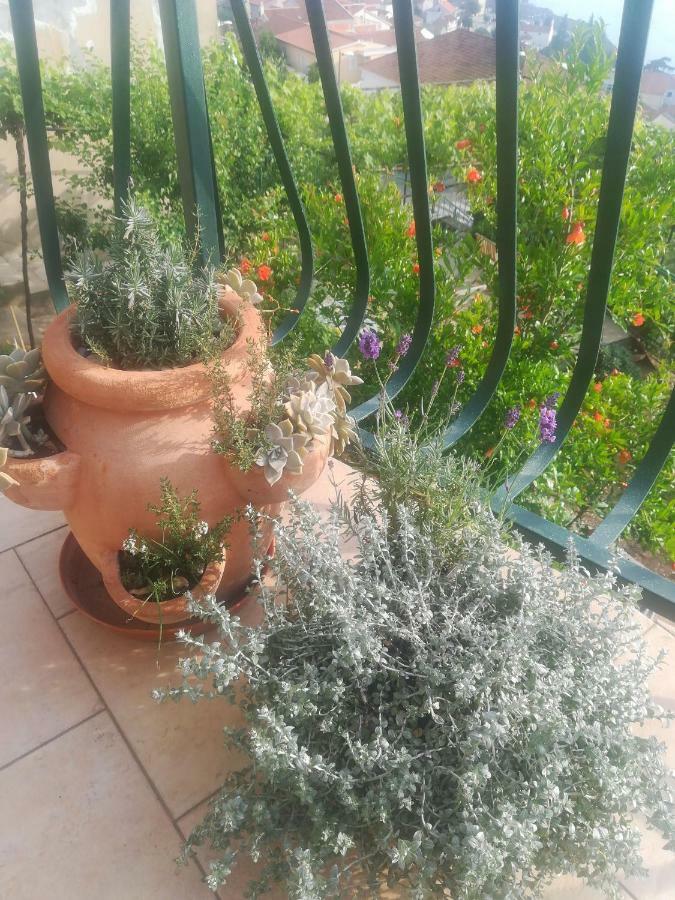 Apartman Betty شيبينيك المظهر الخارجي الصورة